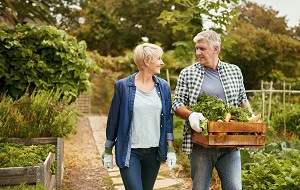 older couple gardening
