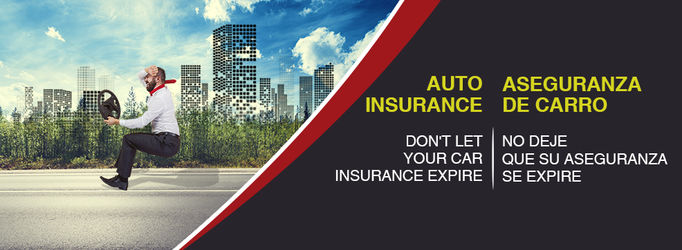 Automobile Insurance